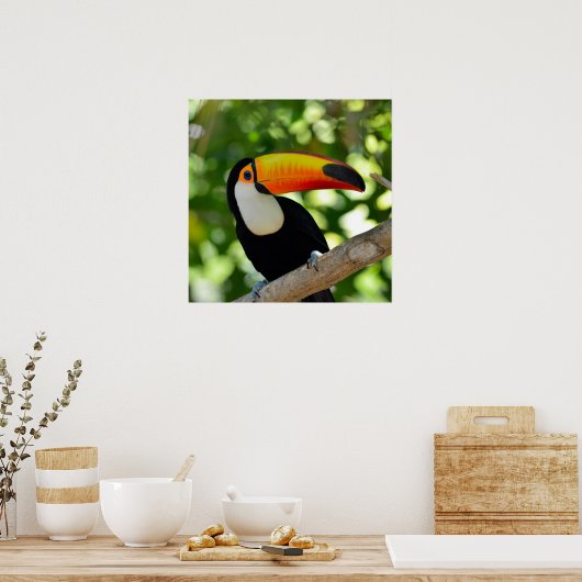 Poster Toucan (Cuisine)