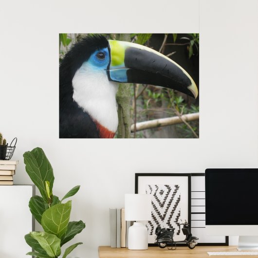 Poster Toucan (Bureau à domicile)