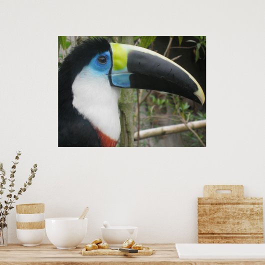 Poster Toucan (Cuisine)