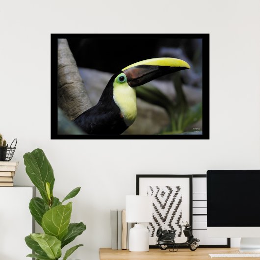 Poster Toucan (Bureau à domicile)