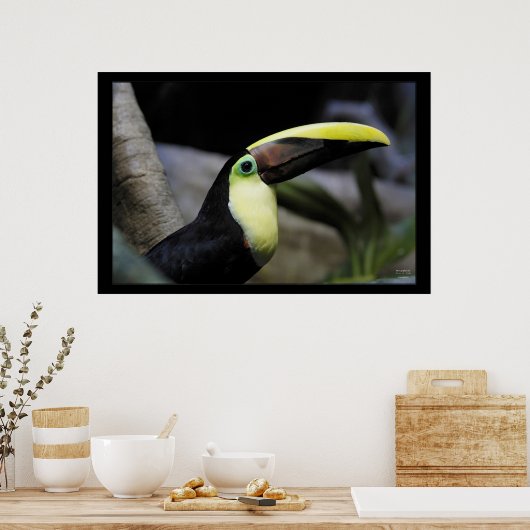 Poster Toucan (Cuisine)