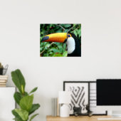 Poster Toucan à bec jaune (Bureau à domicile)