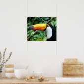 Poster Toucan à bec jaune (Cuisine)