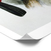 Poster Toucan à bec rouge, de 'Monographie du Rampha (Coin)