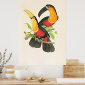 Poster Toucan à poitrine rouge (Cuisine)