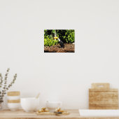 Poster Toucan en Espagne (Cuisine)