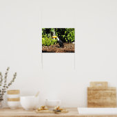 Poster Toucan en Espagne (Cuisine)