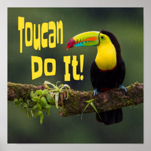 Poster Toucan Le Fait ! Coloré Motivationnel Oiseau amusa
