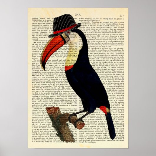 Poster Toucan Portant un Casquette, Trilby, Illustration  (Devant)