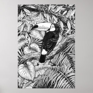 Poster Toucan tropical garden