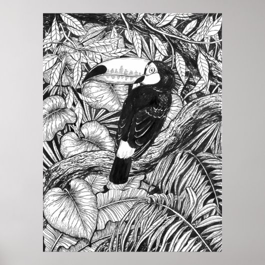 Poster Toucan tropical garden (Devant)