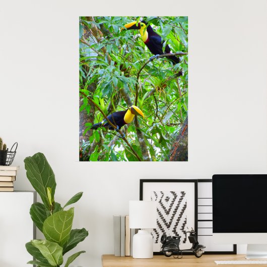 Poster Toucans (Bureau à domicile)