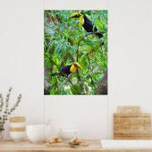 Poster Toucans (Cuisine)