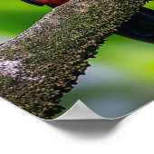 Poster Toucans Tropical Texte Personnalisé (Coin)