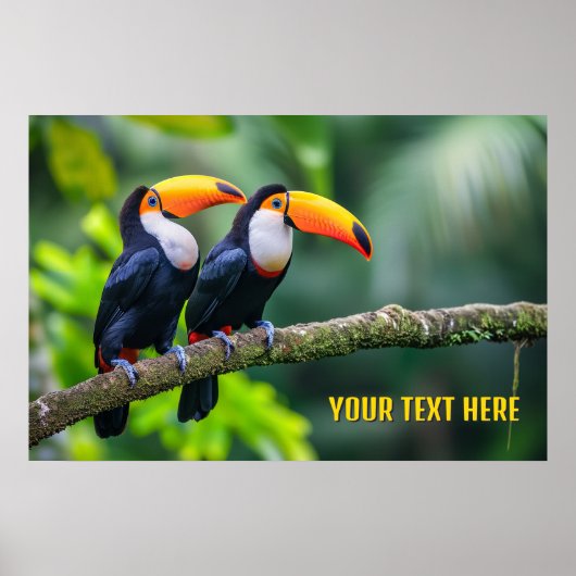 Poster Toucans Tropical Texte Personnalisé (Devant)