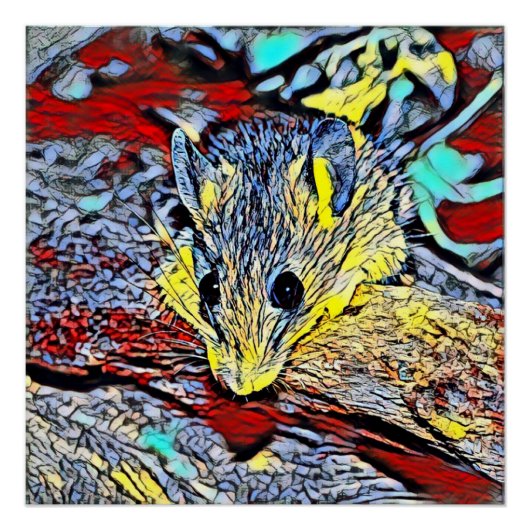 Poster Touche couleur - souris (Devant)