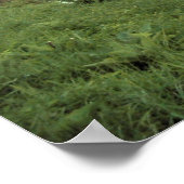 Poster Touche de poussière magique (Coin)