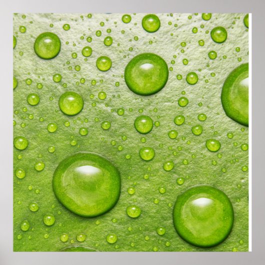 Poster "Touche douce, goutte silencieuse" (Devant)