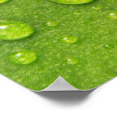 Poster "Touche douce, goutte silencieuse" (Coin)