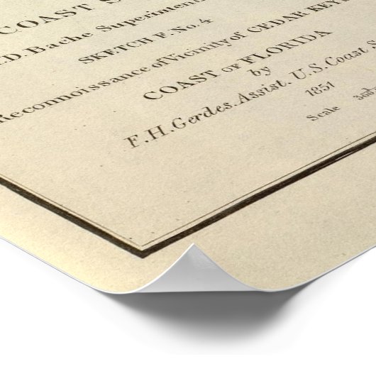 Poster Touches de cèdre, Fla (Coin)