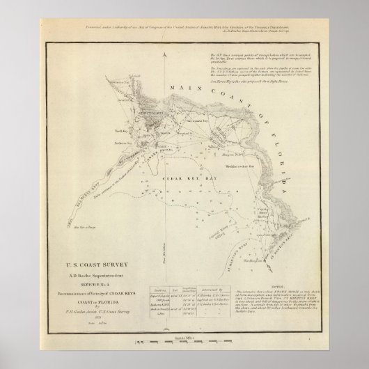 Poster Touches de cèdre, Fla (Devant)