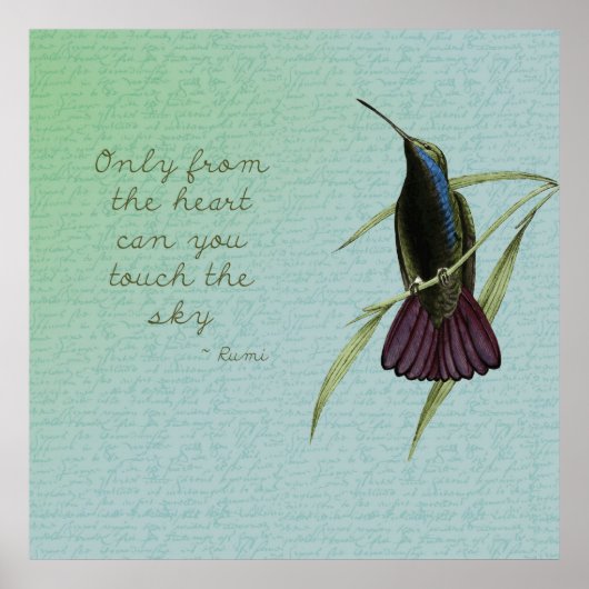 Poster Touchez le colibri du ciel (Devant)