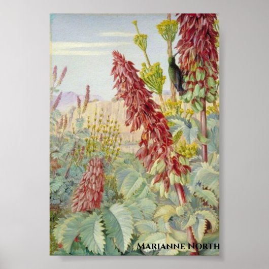 Poster Touchez-moi pas Fleurs et Oiseaux de sucre, Tulbag (Devant)