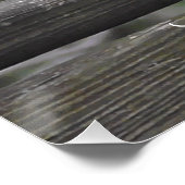 Poster Toujours choisir la paix | Photo de colombe (Coin)