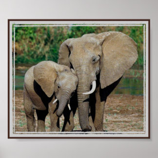 Poster Toujours de ton côté