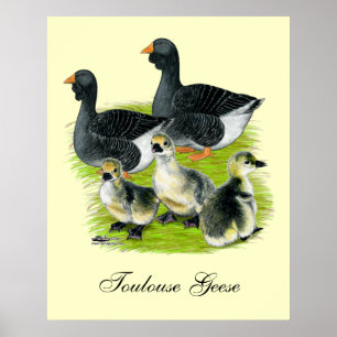 Poster Toulouse Goose