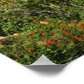 Poster Tour à Rabat, Maroc (Coin)