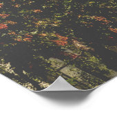 Poster Tour Coit (Coin)