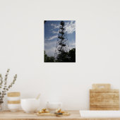 Poster Tour de feu (Cuisine)