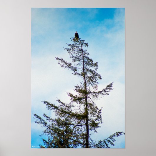 Poster Tour de guet (Devant)