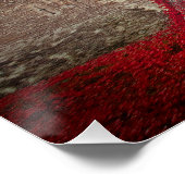 Poster Tour de Londres Poppies Rouges (Coin)