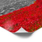Poster Tour de Londres Poppies Rouges (Coin)