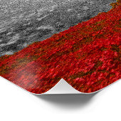 Poster Tour de Londres Poppies Rouges (Coin)