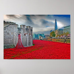 Poster Tour de Londres Red Poppies Angleterre Royaume-Uni