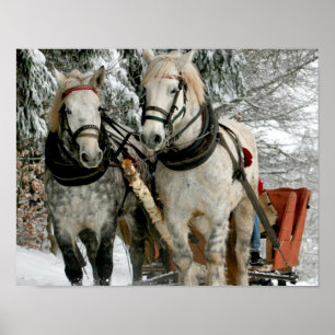 Poster Tour de Sleigh
