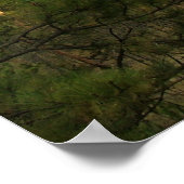 Poster Tour Devils (Coin)