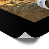 Poster Tour Devils (Coin)