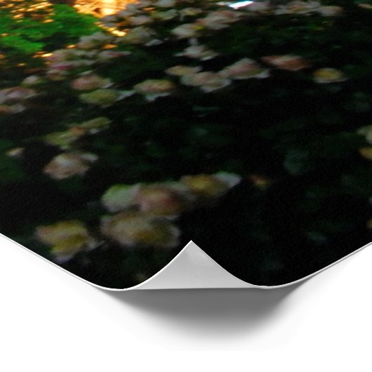 Poster Tour Eiffel (Coin)