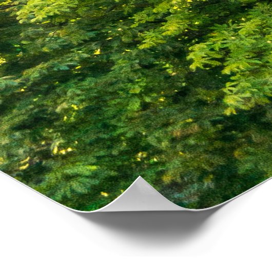 Poster Tour Eiffel (Coin)