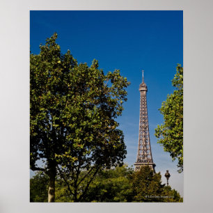 Poster Tour Eiffel et arbres, Paris, france