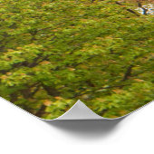 Poster Tour Eiffel et Fleurs de cerisiers (Coin)