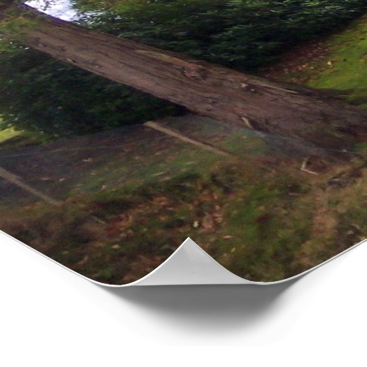 Poster Tour ronde (Coin)