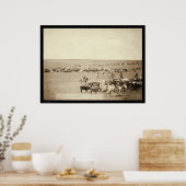 Poster Tour-up Cowboy à Belle Fouche SD 1887 (Cuisine)