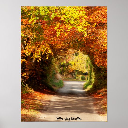 Poster Tourbière jaune Kilcullen (Devant)