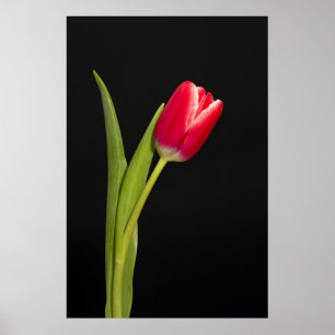 Poster Tourelle rouge unique sur l'arrière - plan noir