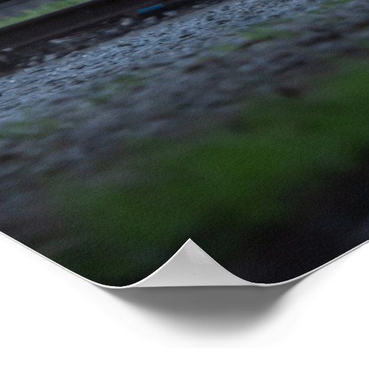 Poster Touring 1969 Pro Firebird (Coin)